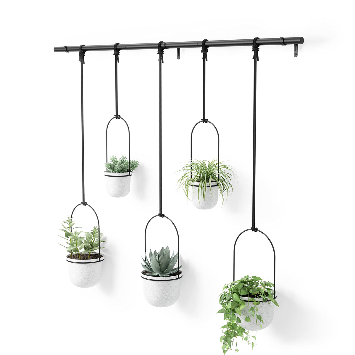 Umbra Hanging Planter, for Succulents, Herbs and Other Small Plants, Polypropylene Metal, Weiss, 5 Pots
