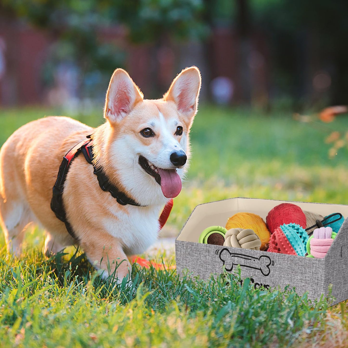 BinWhiz Large Dog Toy Box Storage, 50x29x22 cm Toy Basket for Dogs and Puppies, Collapsible Pet Storage Box Bin Chest Holder Organizer with Handles