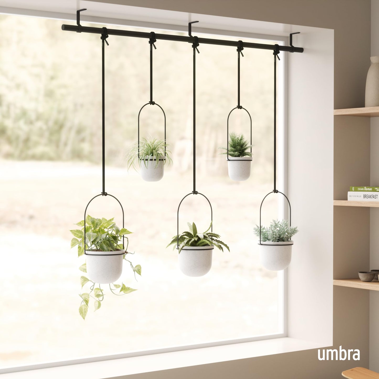 Umbra Hanging Planter, for Succulents, Herbs and Other Small Plants, Polypropylene Metal, Weiss, 5 Pots