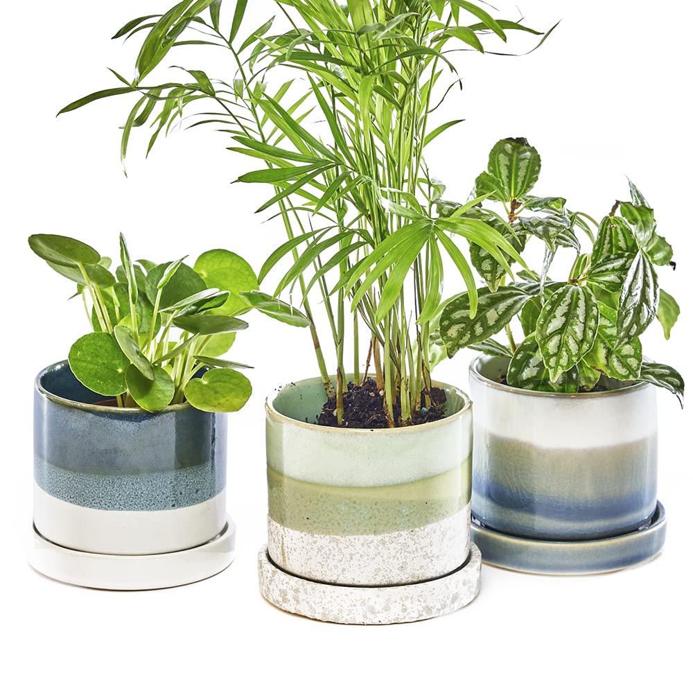 Chive ?Minute? Ceramic Plant Pots ? Cute, Beautiful Pots for Flowers & House Plants Indoor & Outdoor ? Set of 3 ? Green & Blue