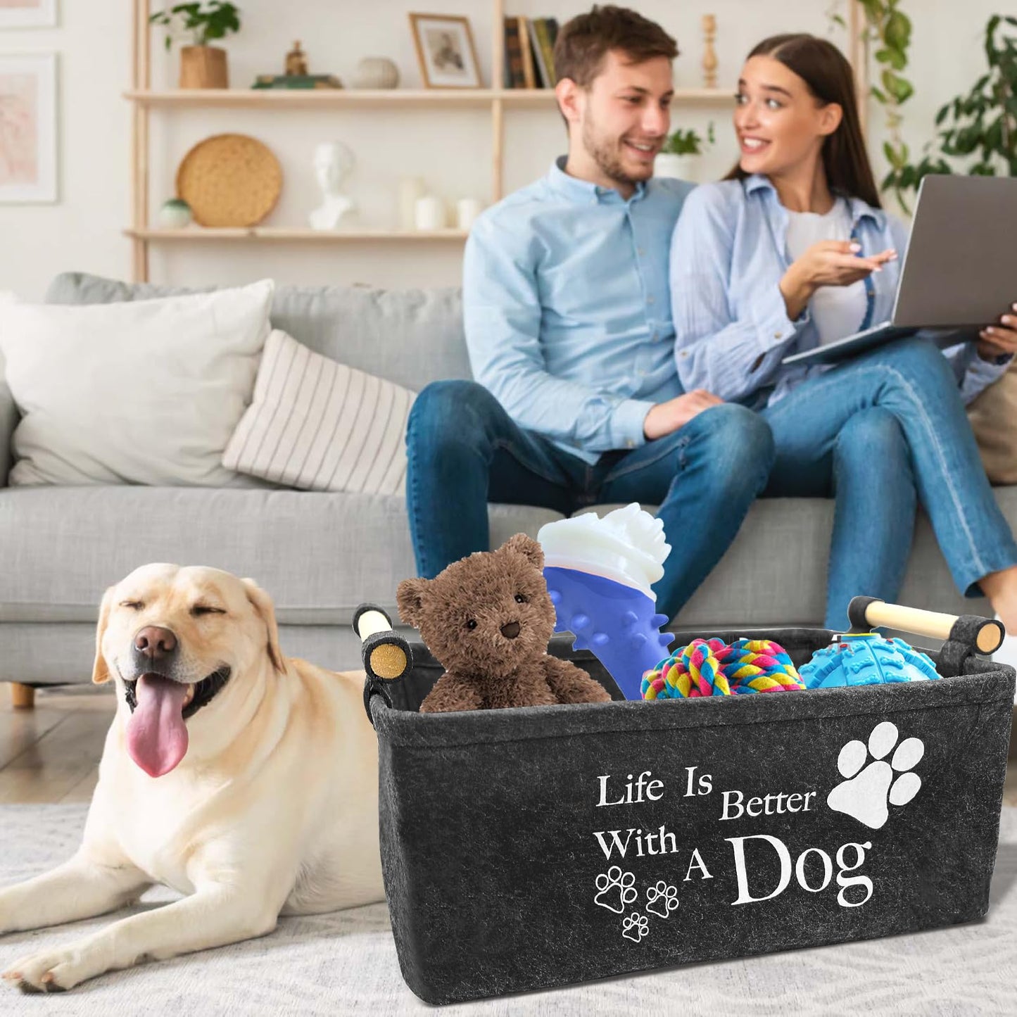 inheming Puppy Toy Box Storage Basket, Collapsible Pet Supplies Storage Basket, Dog Toy Basket Box38cm x 25cm x 18cm Black