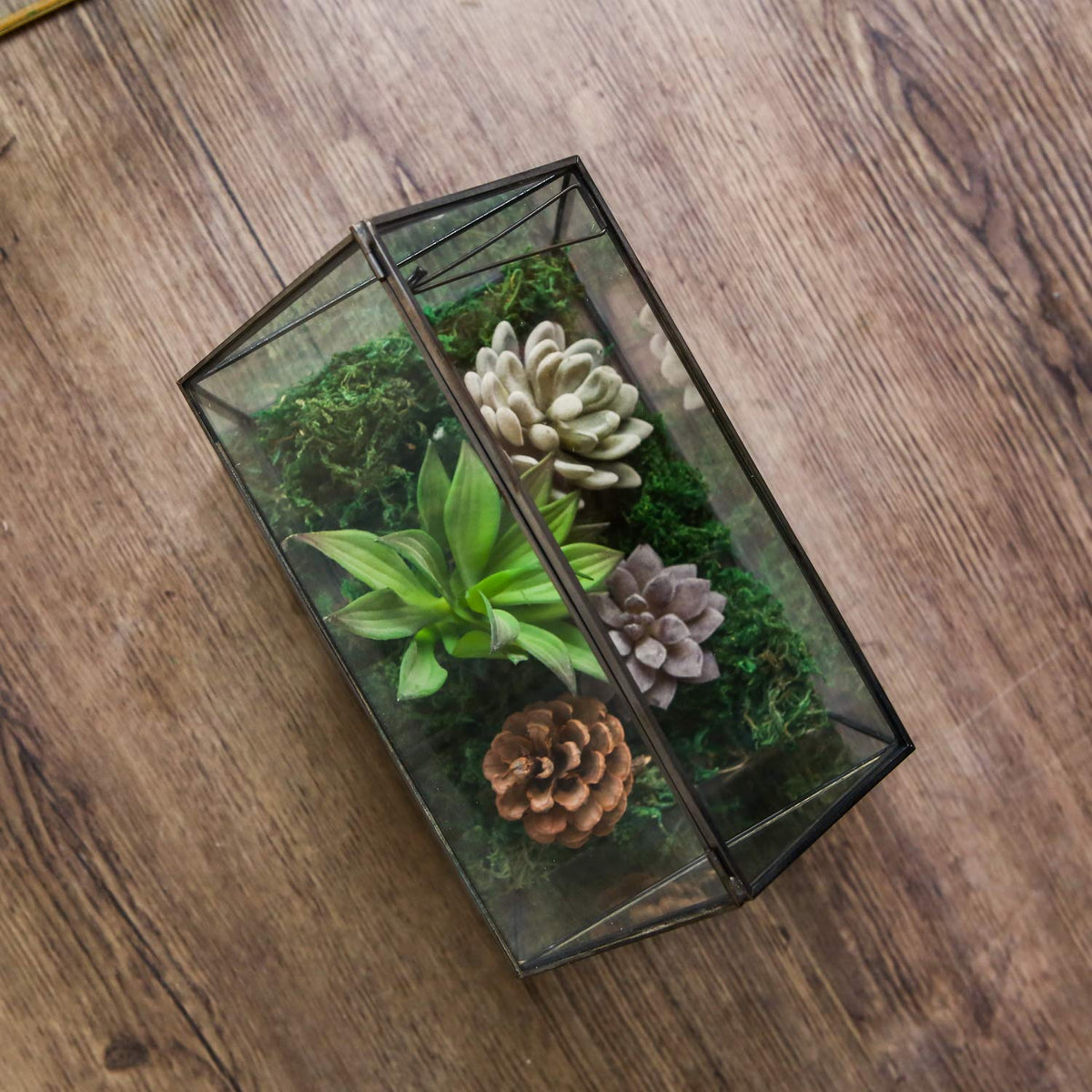 WONSUN House Shape Close Glass Geometric Terrarium - Tabletop Succulent & Air Plant, Flower Pot - Moss Fern Reptile Terrarium (Black)