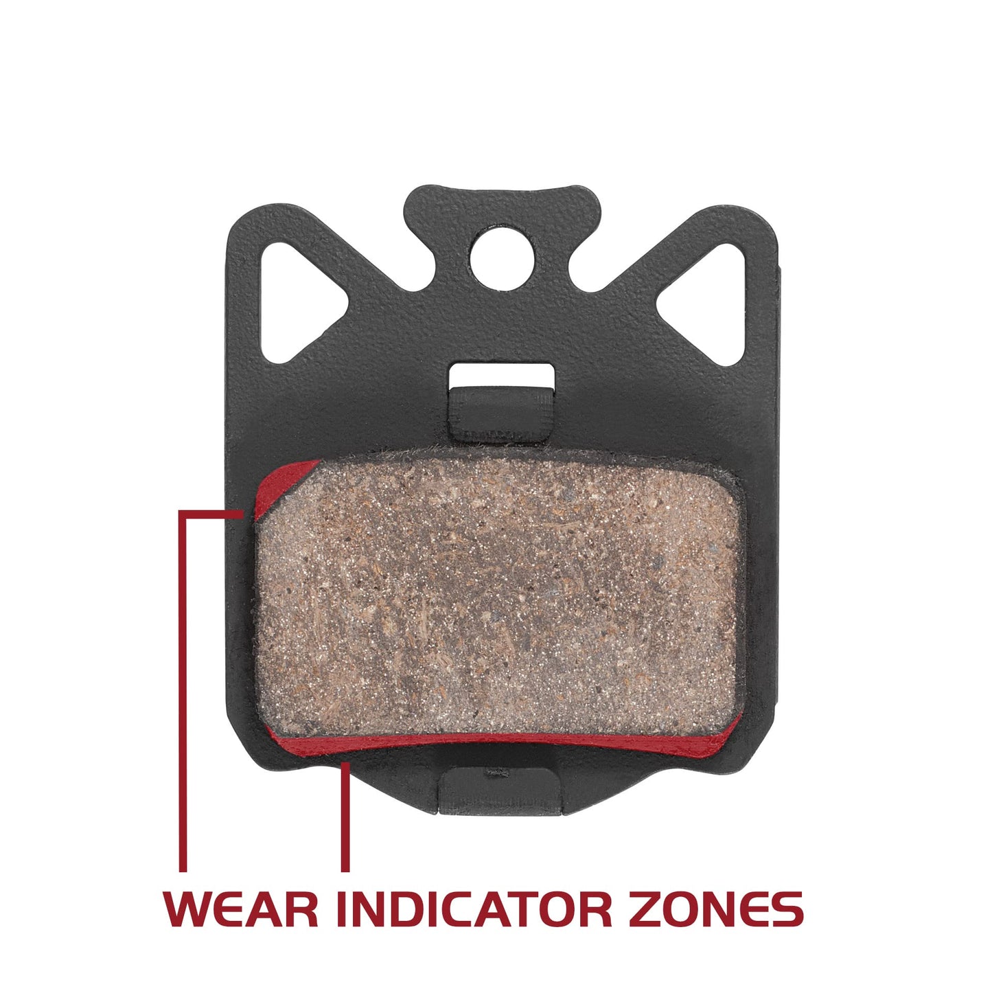 Campagnolo Disc Brake Pads and Pin Set with Spring, Black, One Size