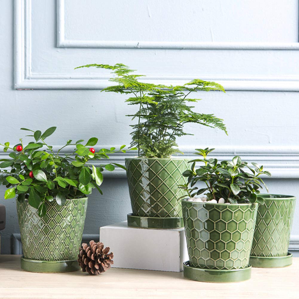 BUYMAX Plant Pots Indoor 5 inch Ceramic Flower Pot with Drainage Hole and Ceramic Tray - Gardening Home Desktop Office Windowsill Decoration Gift,