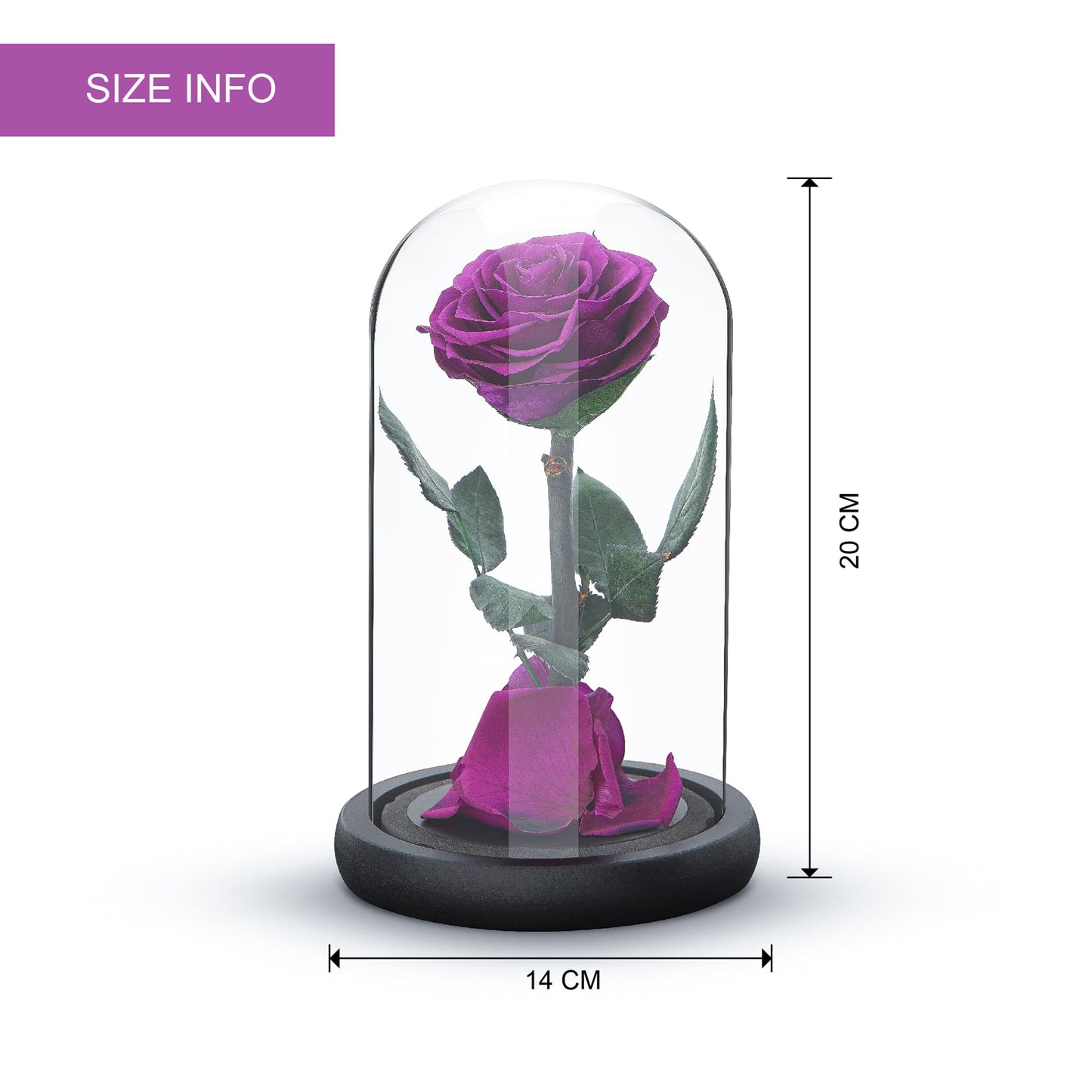 Eternal Forever Rose | Fresh Rose Gift | Single Rose Preserved for 5 Years | Handcrafted | Gifts for Women Birthday unique Unusual | Mothers Day,