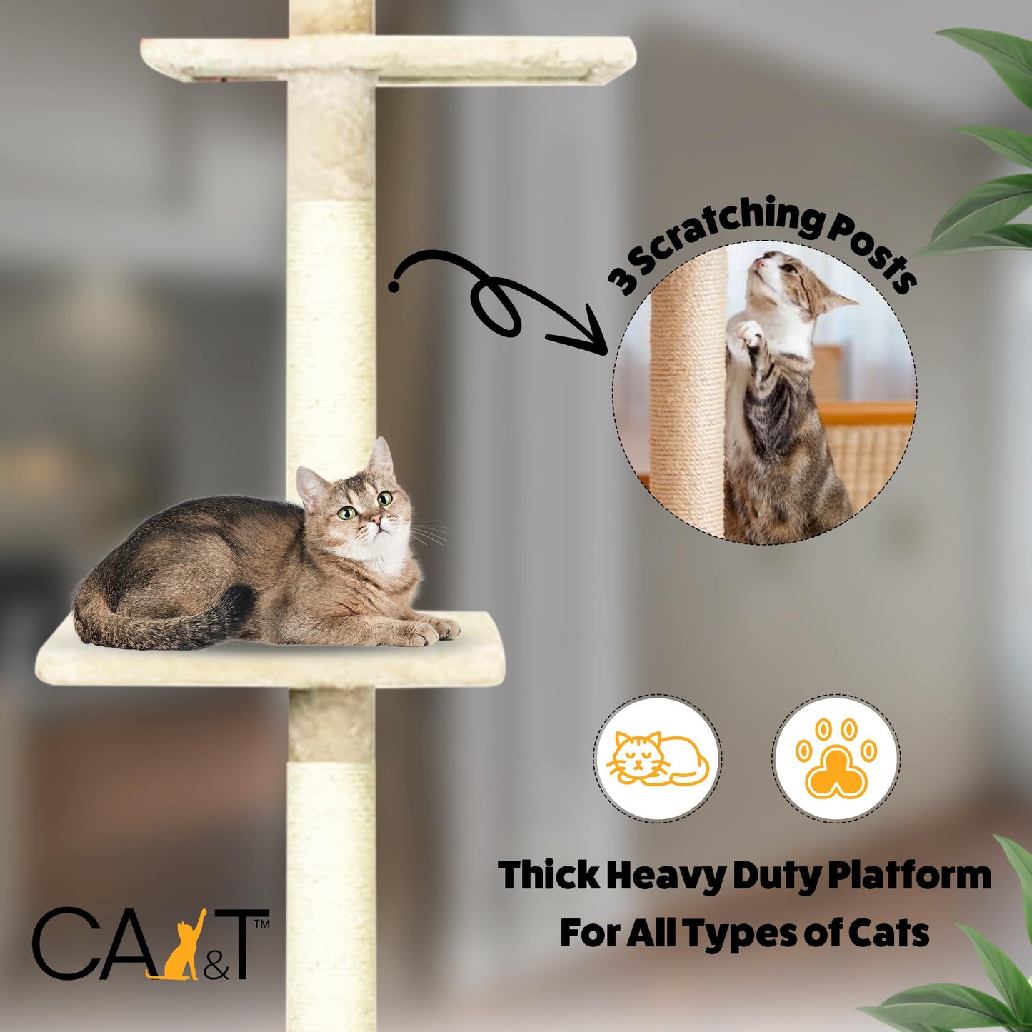 CA&T Luxury Floor to Ceiling Cat Tree | Height Adjustable Cat Climbing Tower with Scratch Post | Cat Towers for Indoor Cats with Multiple Levels &