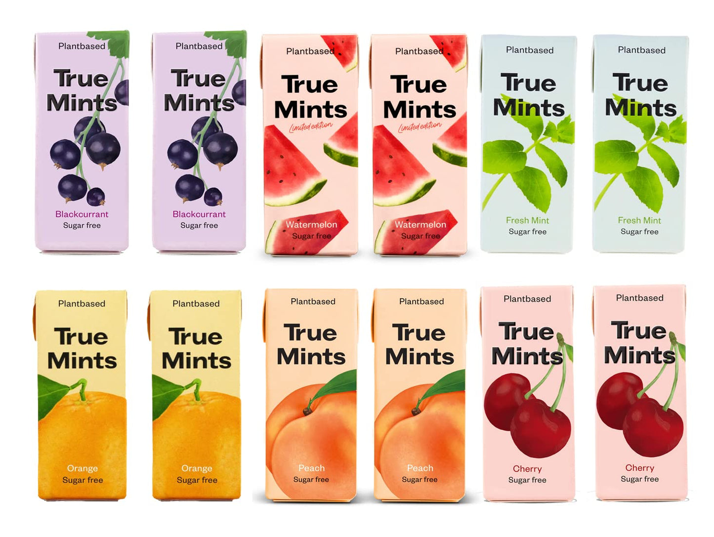 True Mints MIXED 6 Flavours (12-pack) - Sugar Free Mints - Xylitol Mints - Fruit Pastilles - Sugar Free & Plantbased Travel Sweets with Natural