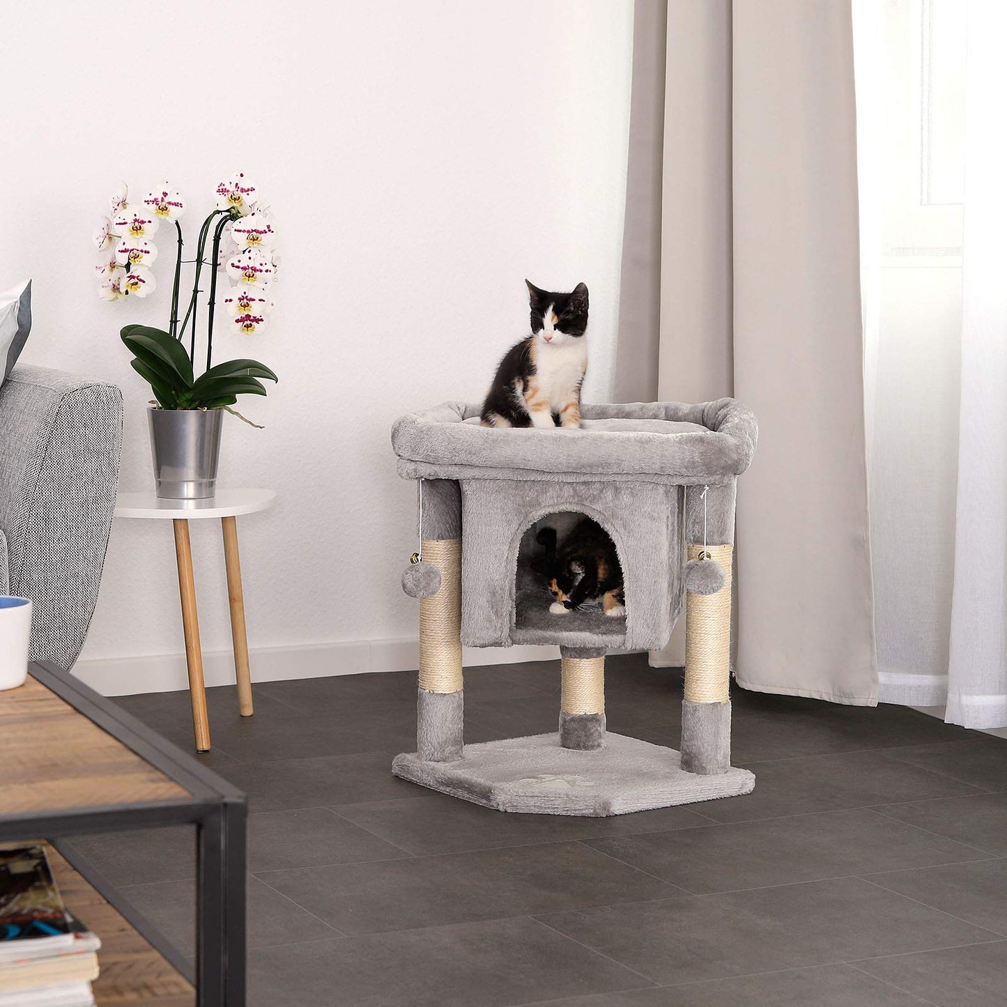 lionto Scratching tree for cats with cave & 2 plush balls incl. bells, height 60 cm, cat tree with robust sisal rope & soft plush, cozy lying surface,