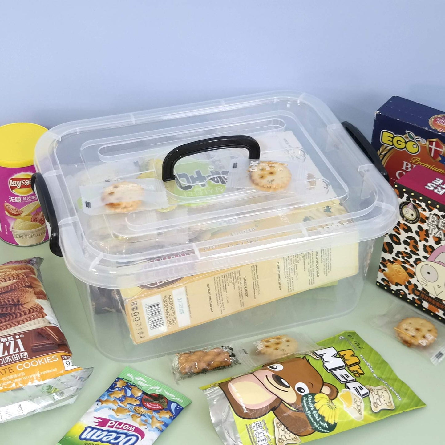 Bringer 6-Pack 8 L Clear Plastic Storage Boxes, Clear Latch Boxes