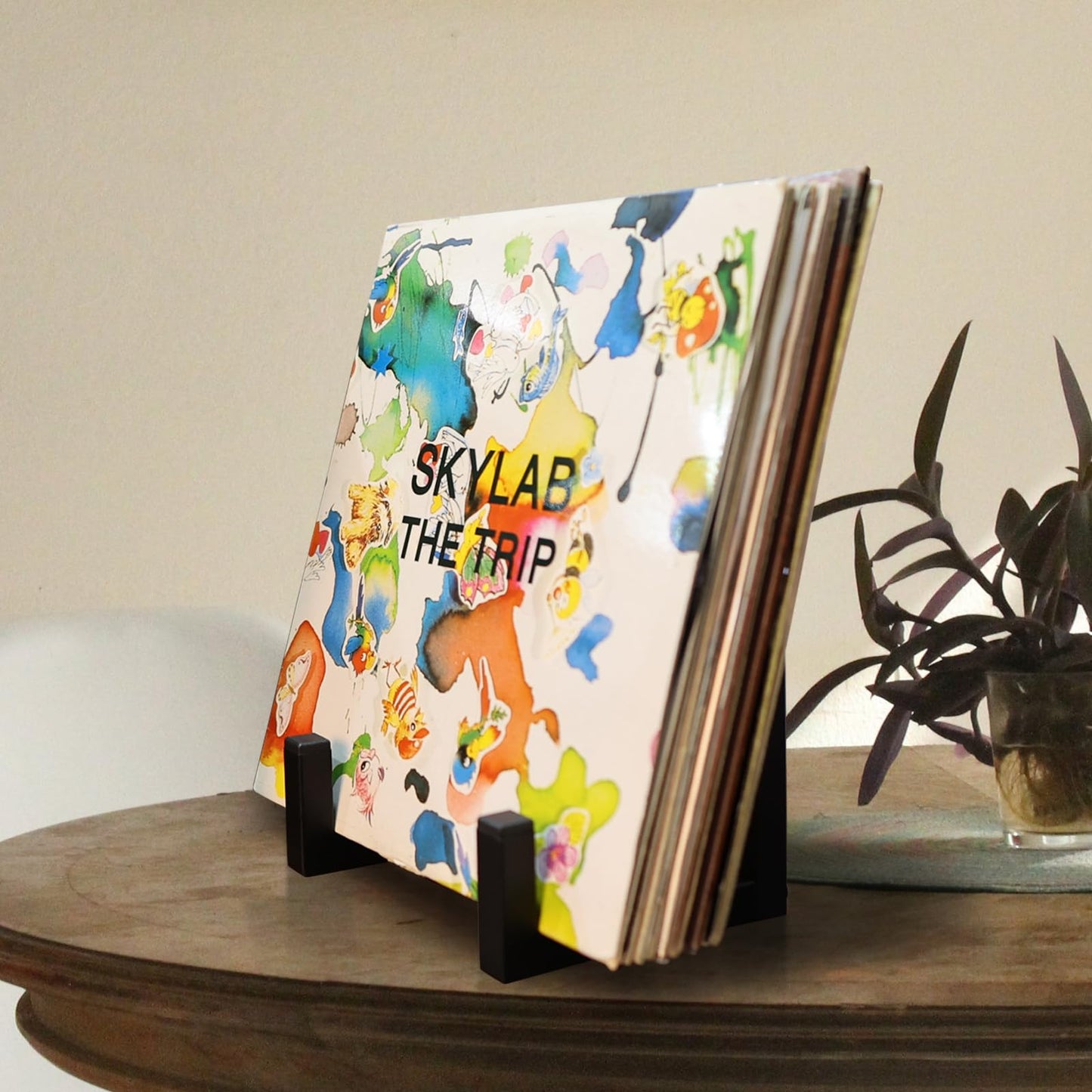 MayRecords Vinyl Record Holder Display Stand Vinyl Stand Storage Rack