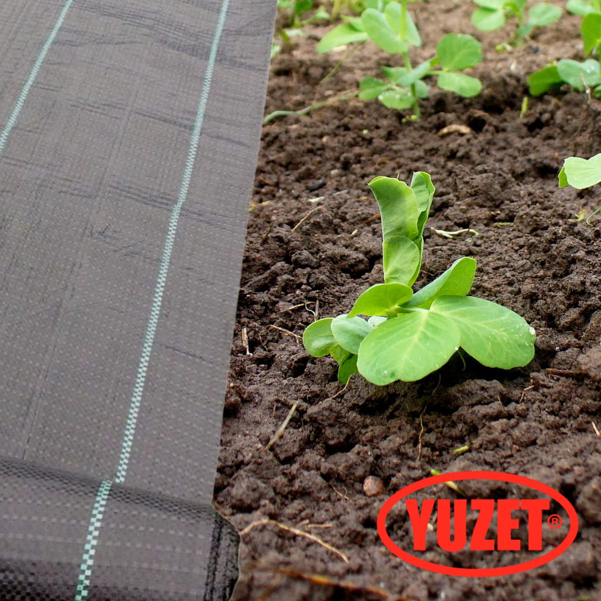 Yuzet 2m x 50m Black 100gsm Heavy Duty Weed Control Fabric, Ground cover Membrane, UV stabilised Weed Barrier Fabric. Under Patios, Garden, Flower