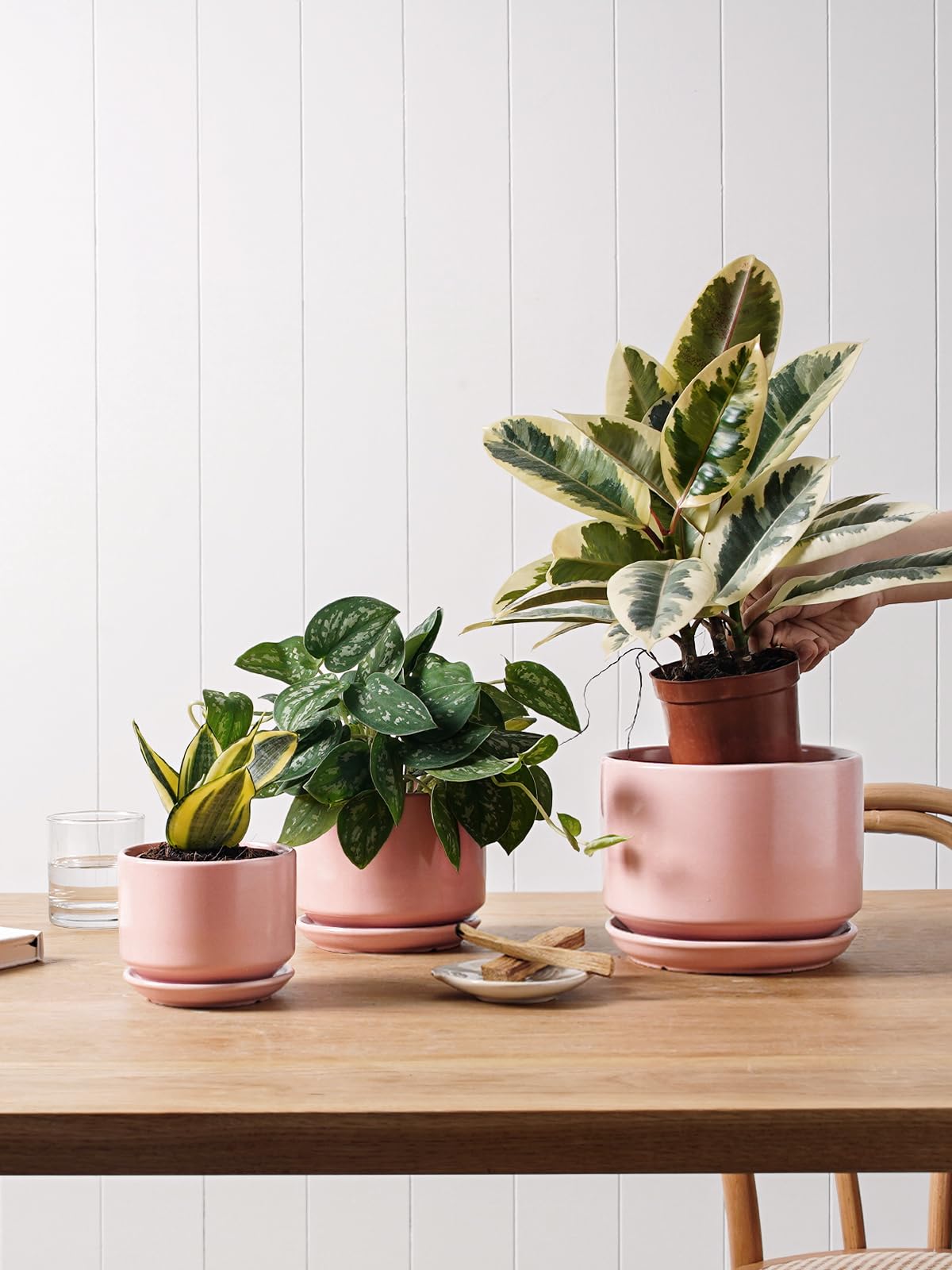LE TAUCI Ceramic Plant Pots, 11+13+17 cm Planters, Set of 3 Planters with Drainage Hole and Saucer, Indoor Plant Pot with Hole Mesh Pad, Gifts for