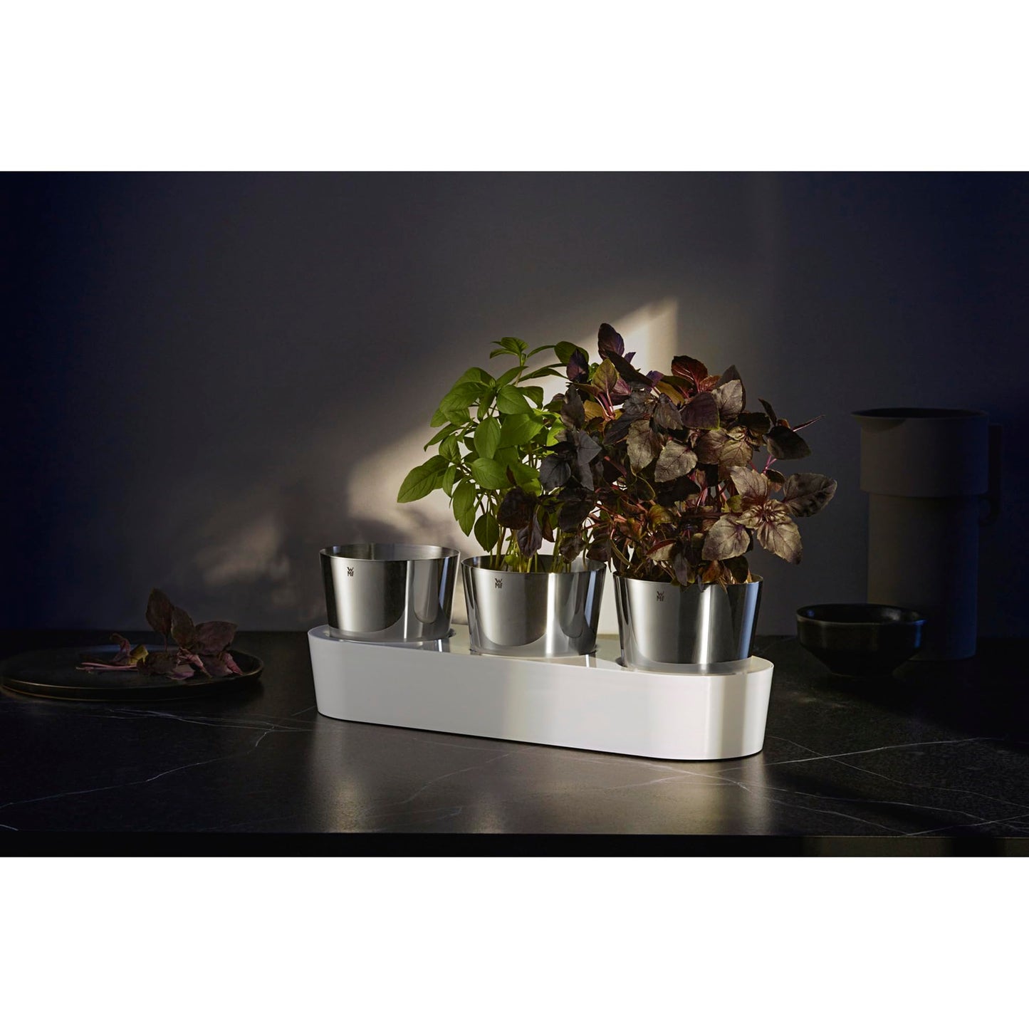 WMF Gourmet herb pot with irrigation system 3-part, herb garden for the kitchen, 36x 12.5x 12.5 cm, for fresh kitchen herbs, white