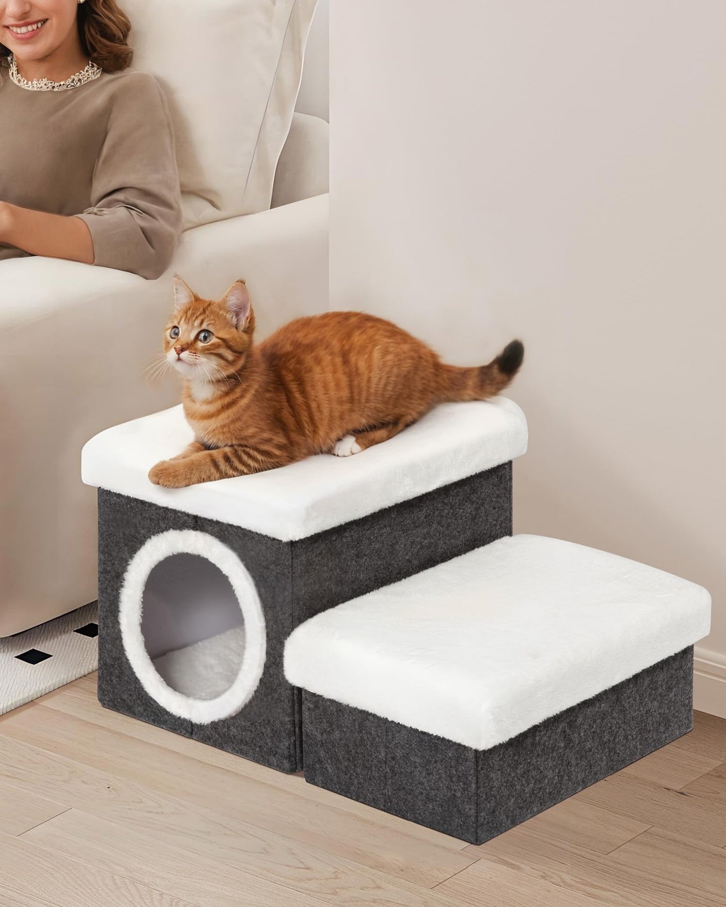 Bonlife Cat House Pet Stairs for Beds Sofa, Dog Bed for Indoor, Foldable Cat Climb Ladder with Storage,2-Tier Pet Steps with Toy Box,Dark