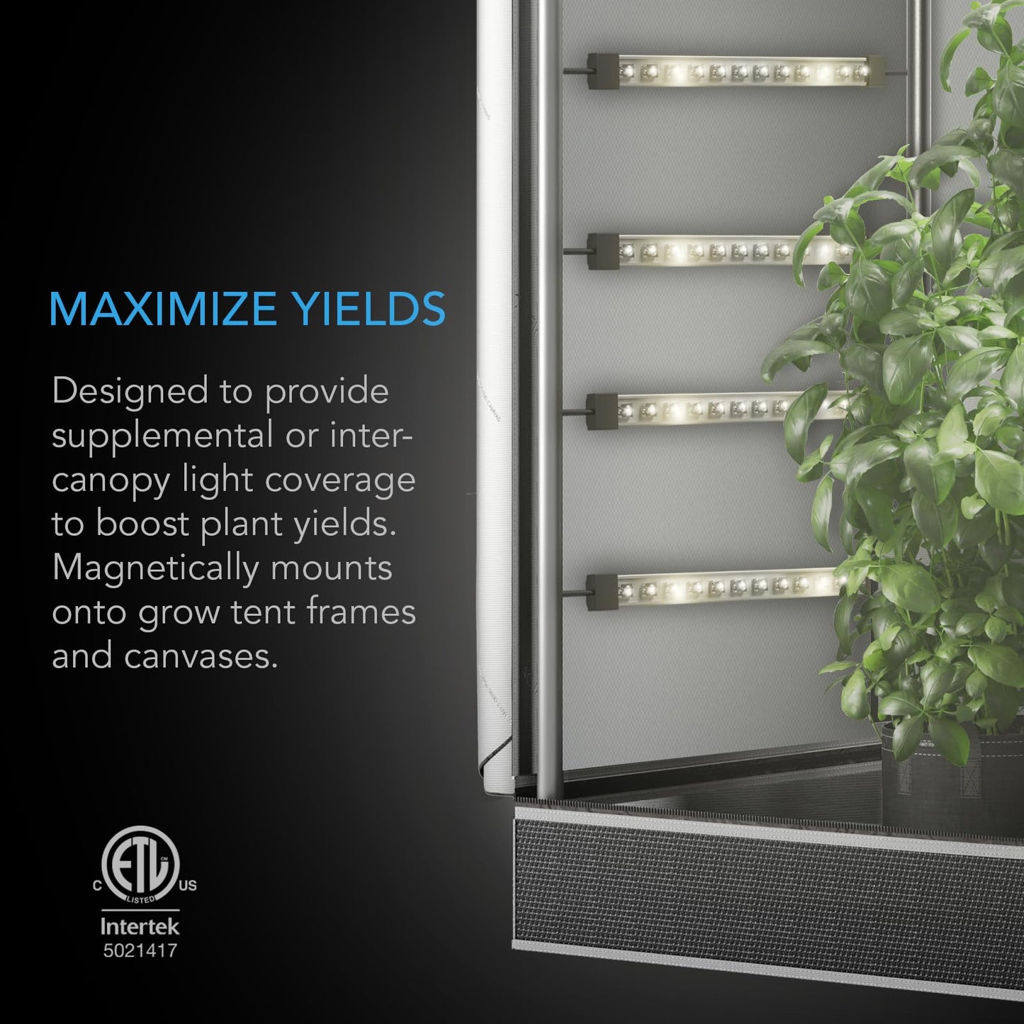 AC Infinity IONBEAM S11, Full Spectrum LED Grow Light Bars 11?, Deeper Penetration Samsung LM301H EVO Diodes and Digital Dimming Timer Controller, for