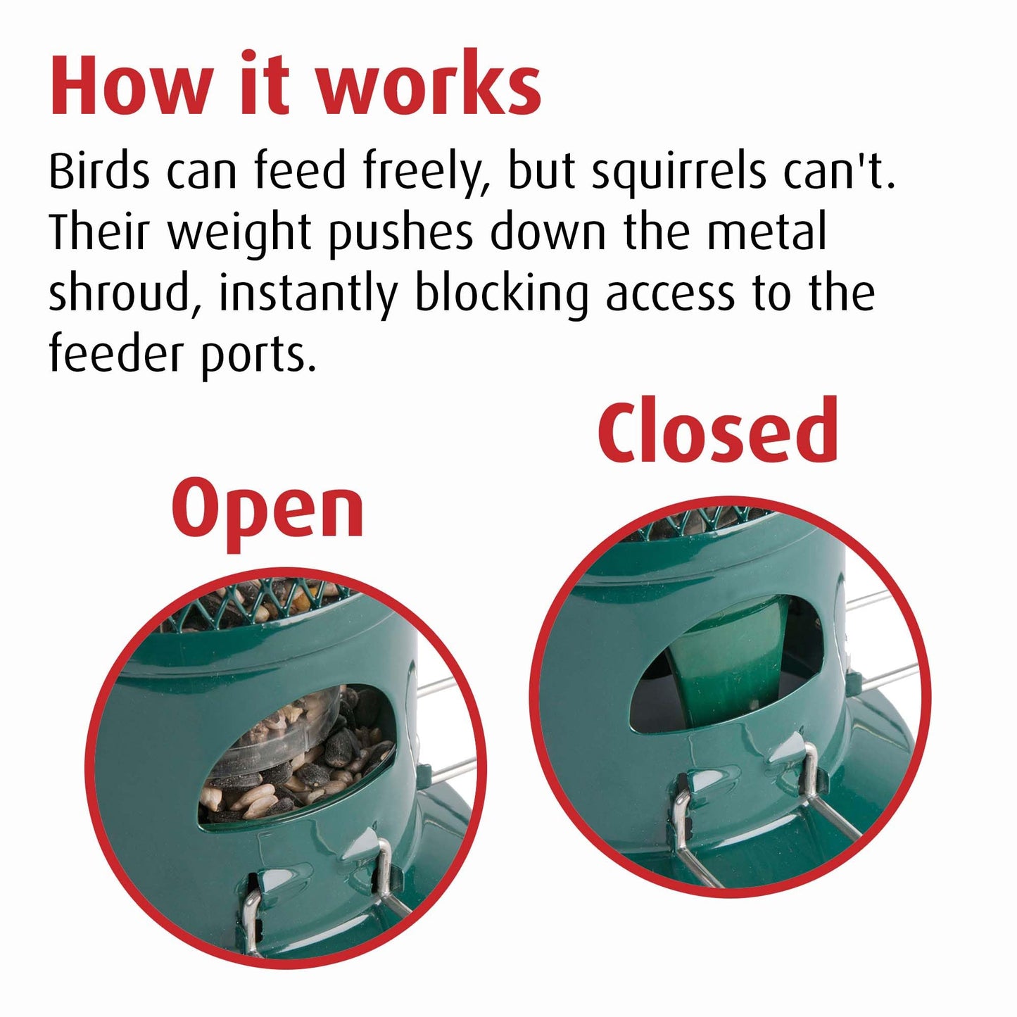 Squirrel Proof Bird Feeder for Seeds - Jacobi Jayne? Squirrel Buster? Seed Bird Feeder ? Pigeon Proof Metal Bird Seed Feeder for Wild Birds ? Easy