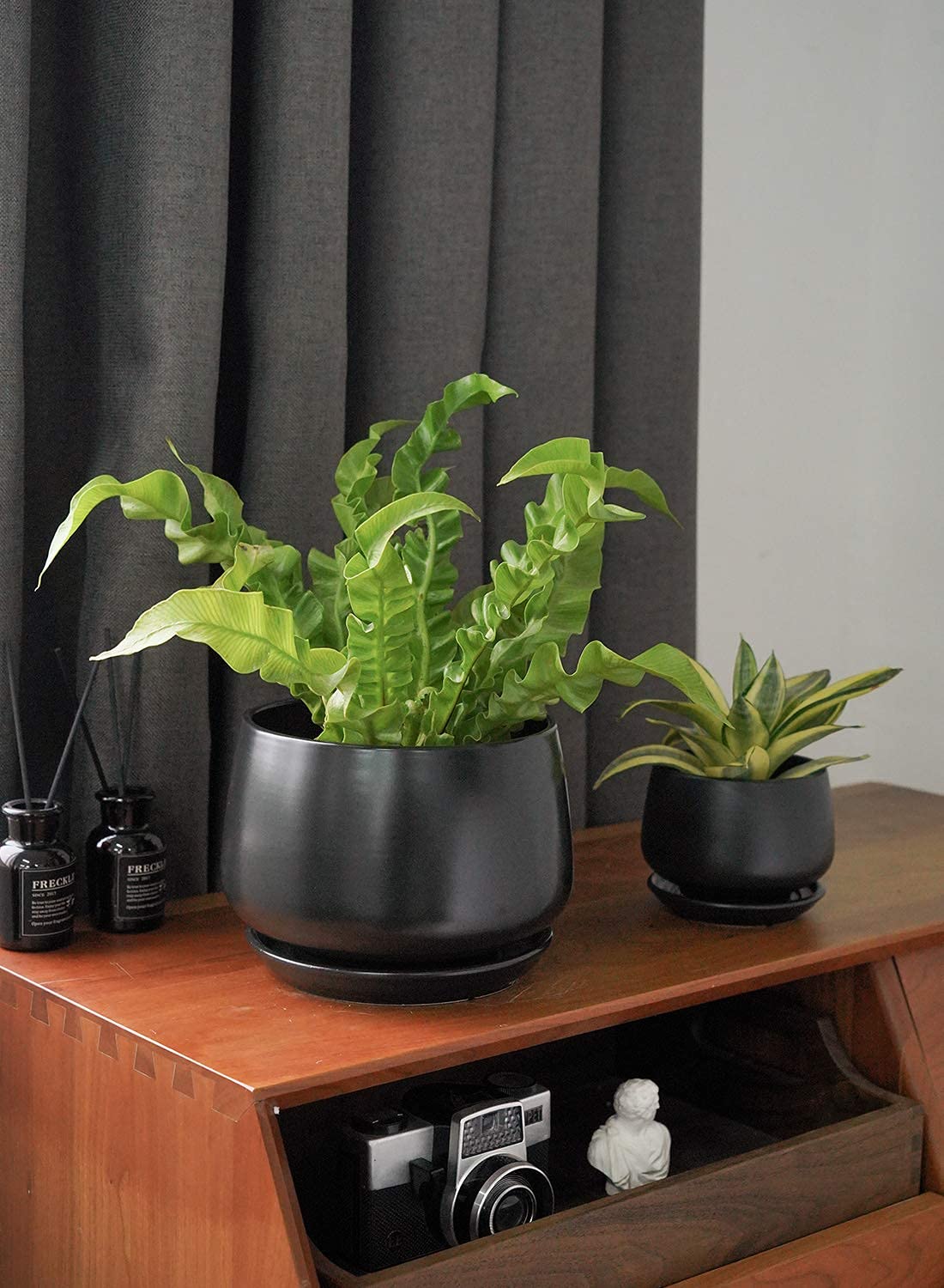 LE TAUCI Plant Pots, 10+13+16 cm Planters, Set of 3 Ceramic Planters with Drainage Hole and Saucer, Indoor Plant Pot with Hole Mesh Pad, Gifts for