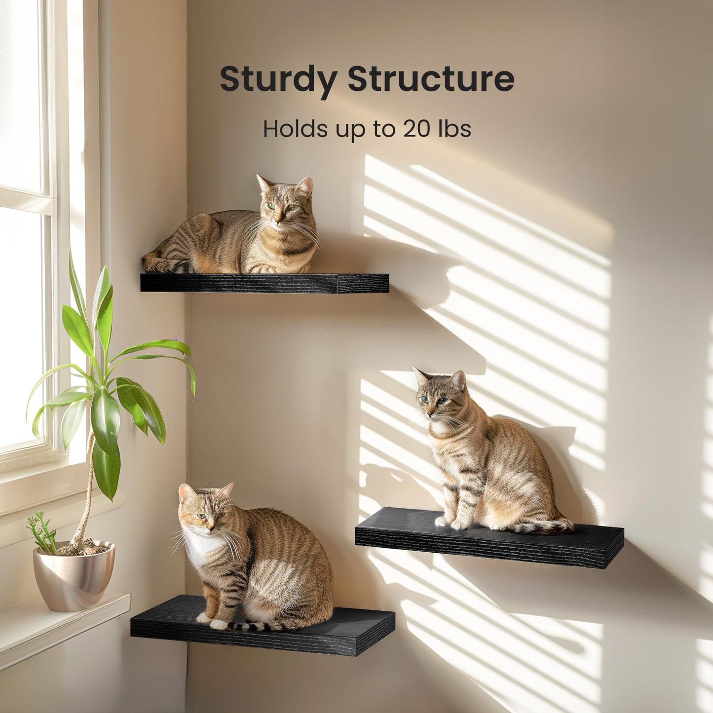 STOREMIC Floating Shelves, Black Shelves Set of 3, Easy to Install Decorative Shelves for Wall with Length 40cm, Sturdy Black Floating Shelves for