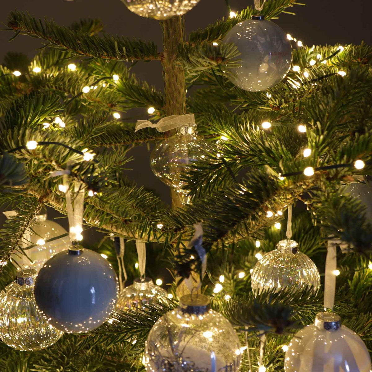 Qbis 800 LED Christmas Lights, Warm White Lights on Green Wire. 1 in 10 Random Twinkling Fairy Lights. Christmas Tree Lights, Indoor or Outdoor use