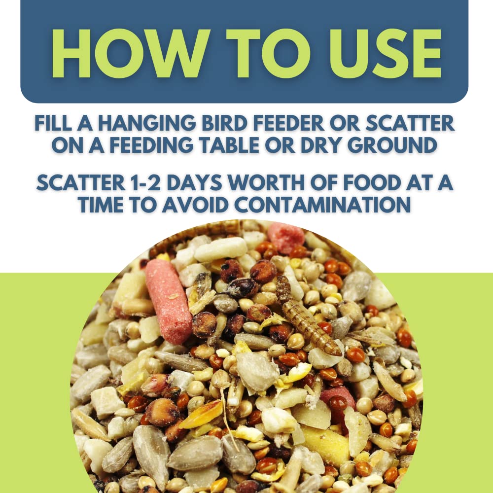 Pet Performance Garden Feast Wild Bird Seed Mix 20kg - All Year Round Wild Bird Feed With Mealworms & Suet Pellets - 100% Natural Nutritional Garden