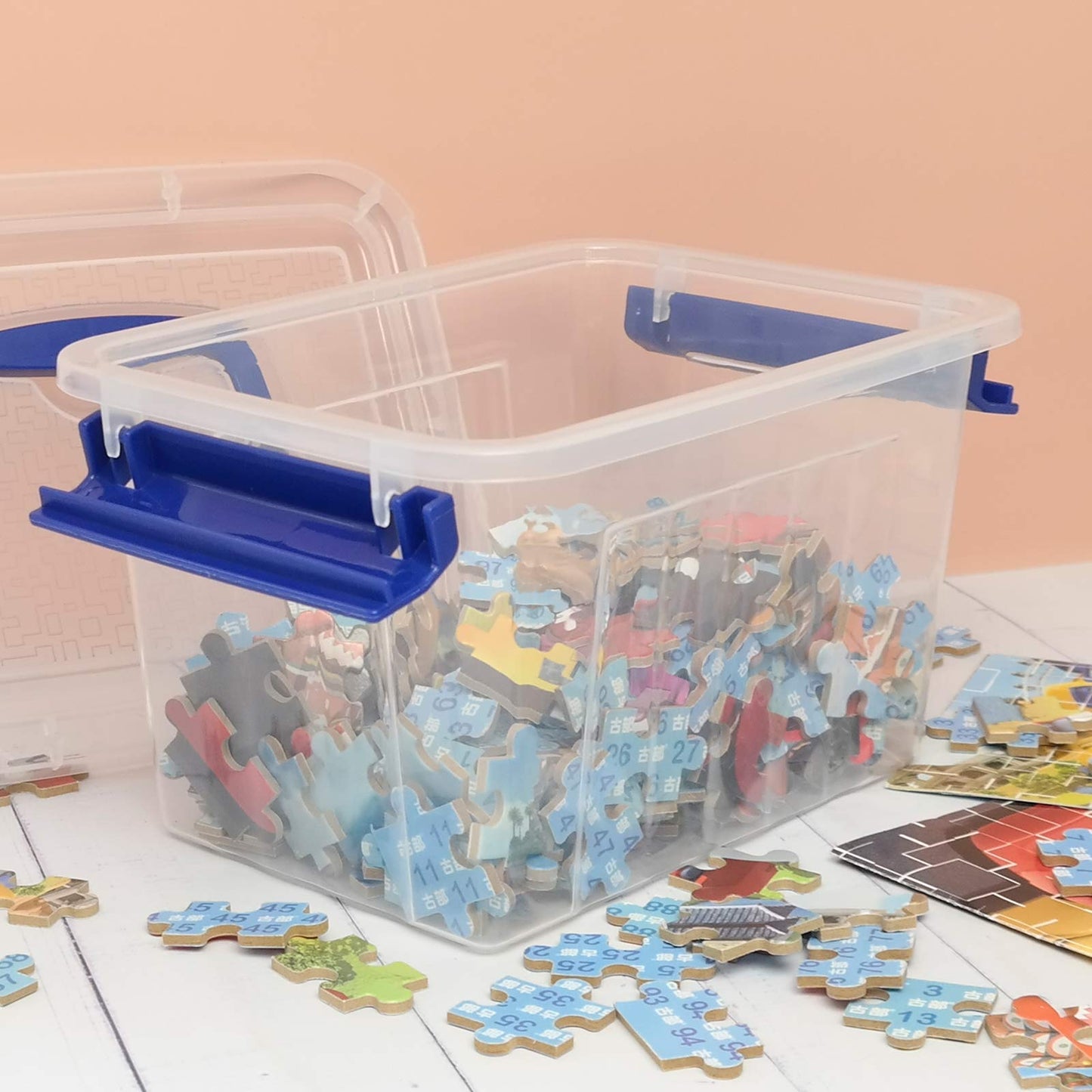 Nesmilers Plastic Storage Boxes with Lids, Plastic Container Box Set of 6