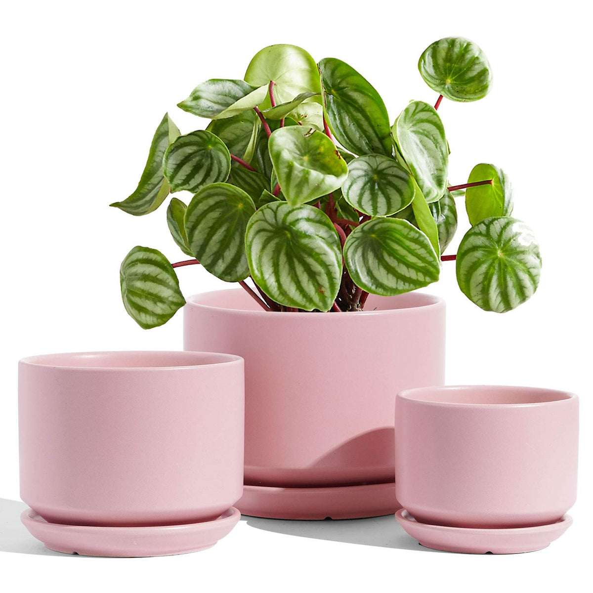 LE TAUCI Ceramic Plant Pots, 11+13+17 cm Planters, Set of 3 Planters with Drainage Hole and Saucer, Indoor Plant Pot with Hole Mesh Pad, Gifts for
