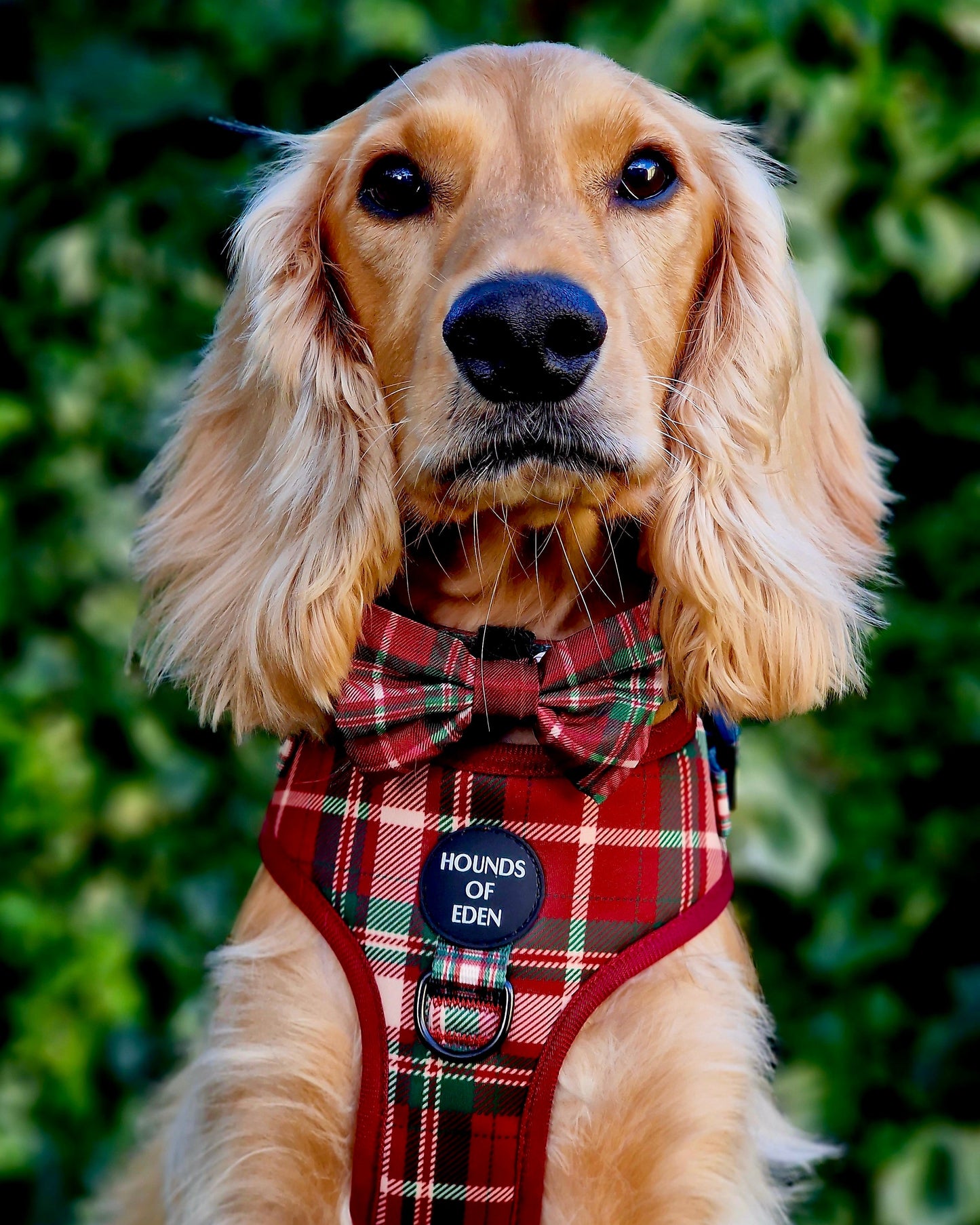 Tartan Me Up - Red & Cream Tartan Design Poop Bag Holder