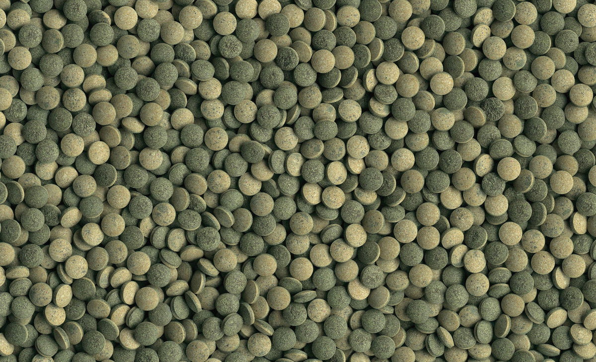 Pleco Tablets - Case of 6