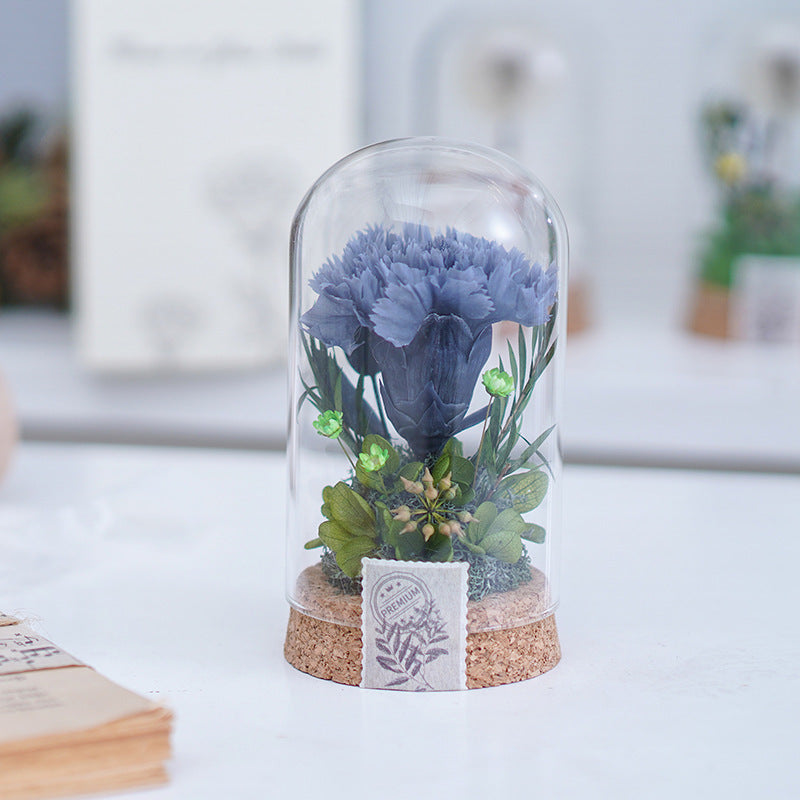 Mother's Day Gift Carnation Wishing Bottle Dandelion Preserved Fresh Flower Material Package