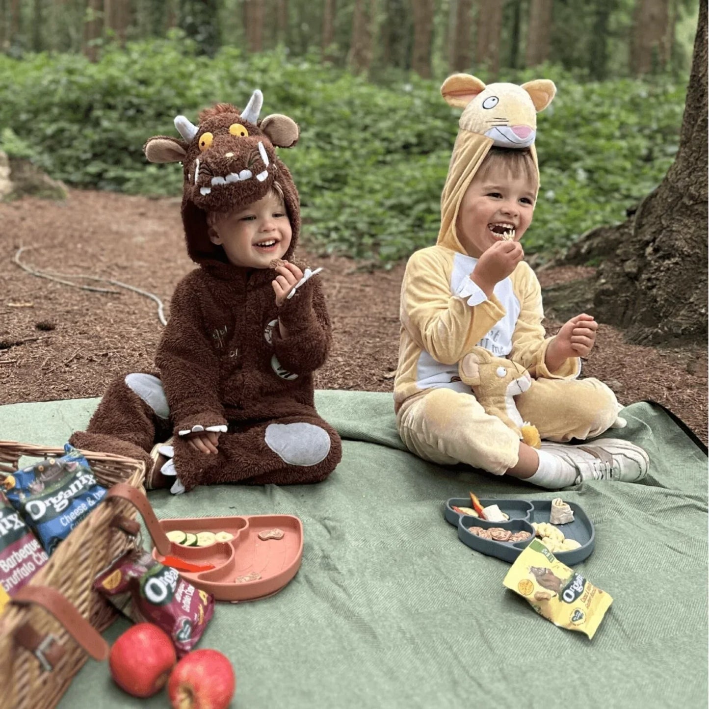 Organix Gruffalo Blackcurrant Fruit Bar 12+ months 102g (6x17g)