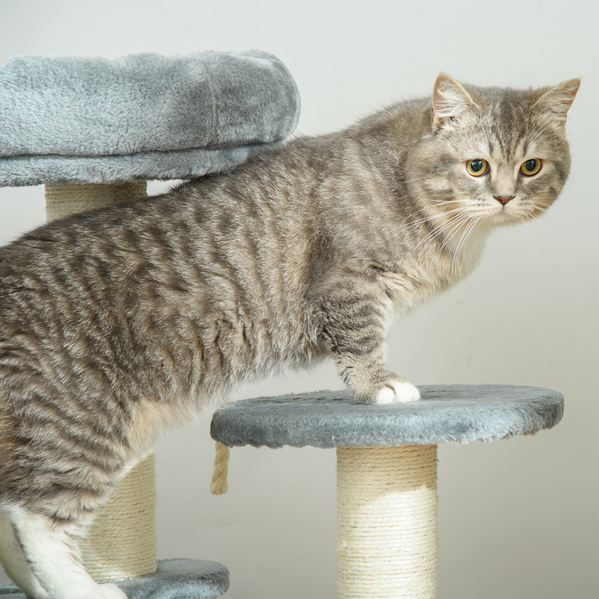 Cat Tree Scratcher Kitty Activity Play Center Post 2 Perch w/ Hanging Sisal Rope