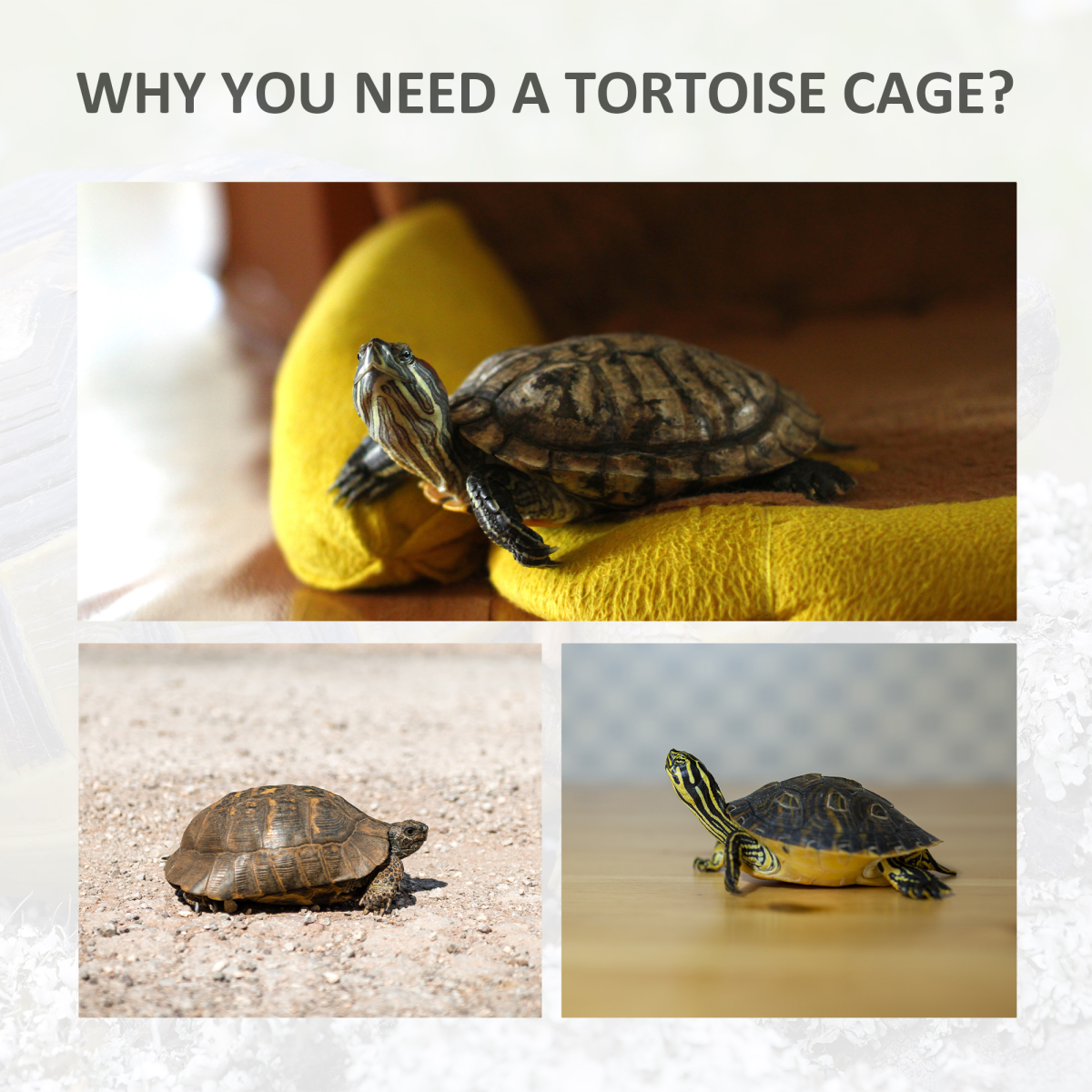 94 cm Wooden Tortoise House Turtle Habitat Small Reptile Cage Grey Pawhut