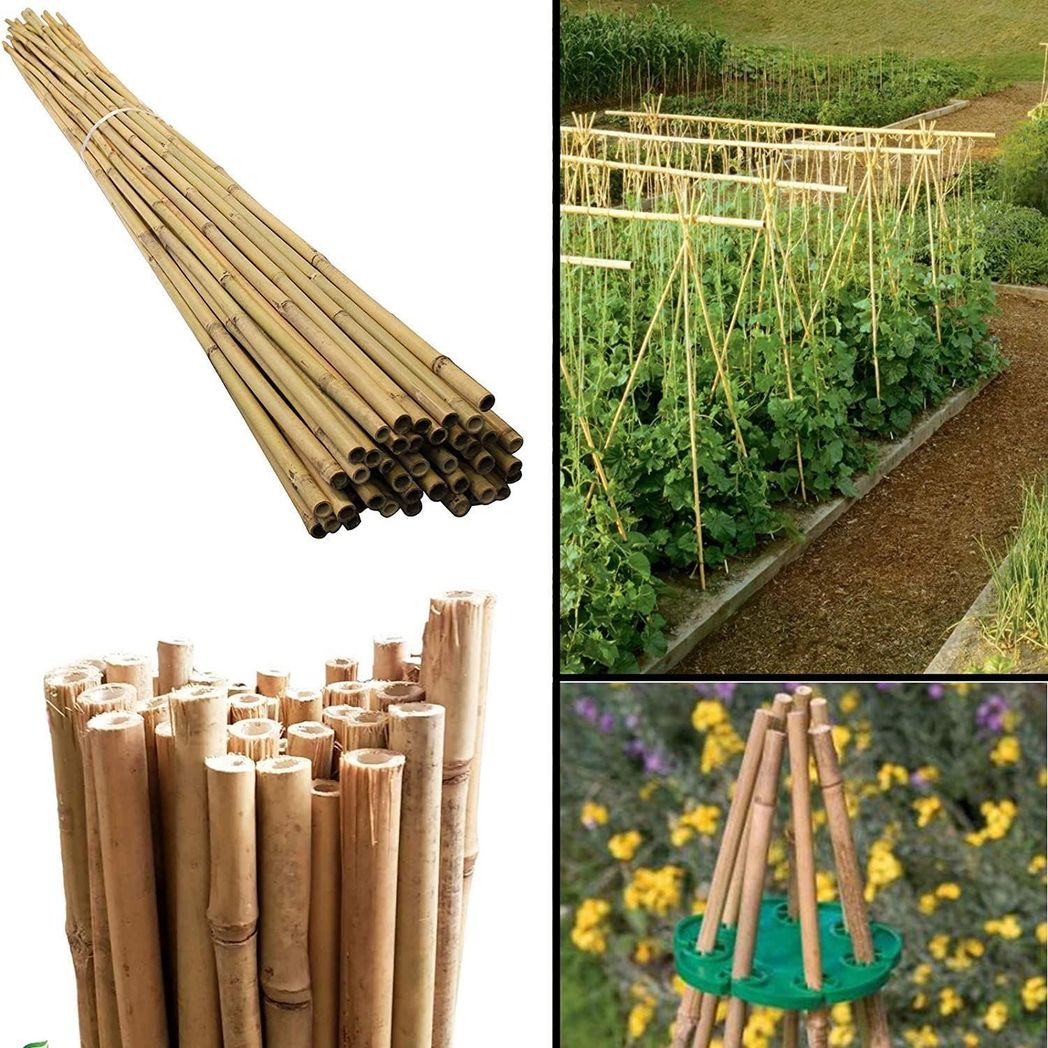 10 x 5FT Bamboo Canes 150 CM