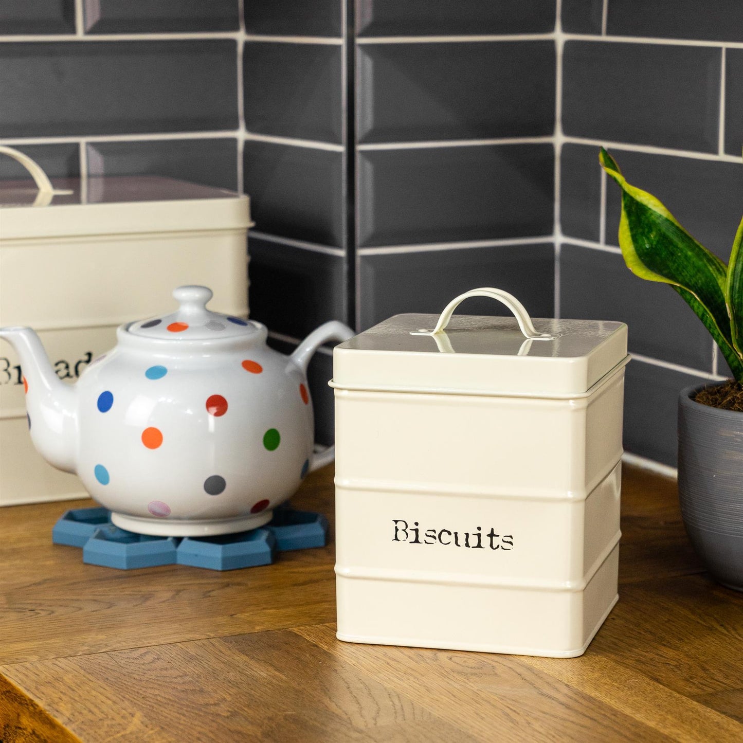 Vintage Metal Biscuit Tin