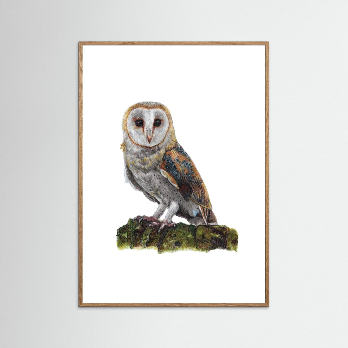 Barn Owl Wildlife Framed Art Print | British Bird Wall Art