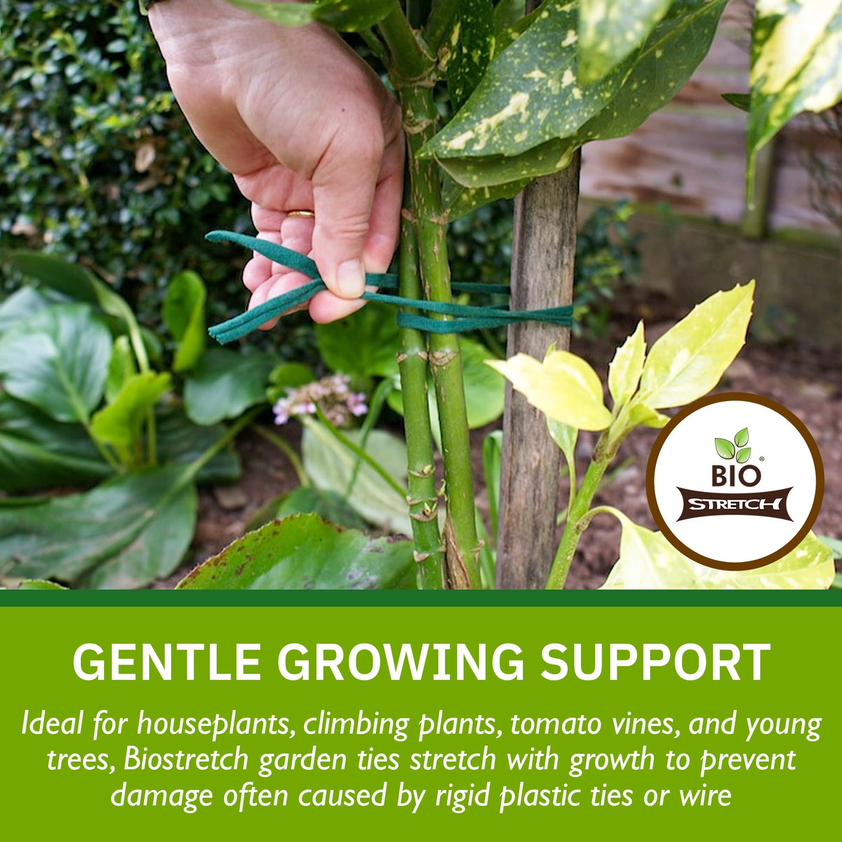 Biostretch Soft Garden Plant Ties for Indoor & Outdoor Plants - Strong & Stretchy Cut-to-Length Garden Twine for Climbing Plants, Tomato Vines & Home
