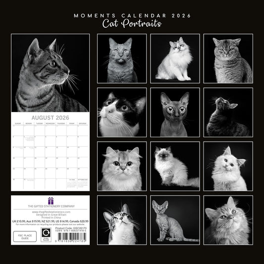 Black & White Cat Portraits 2026 Calendar 16 Month Family Square Wall 2026 UK | Planner with Large Grid for Home or Office Organisation - 2026/2025 UK
