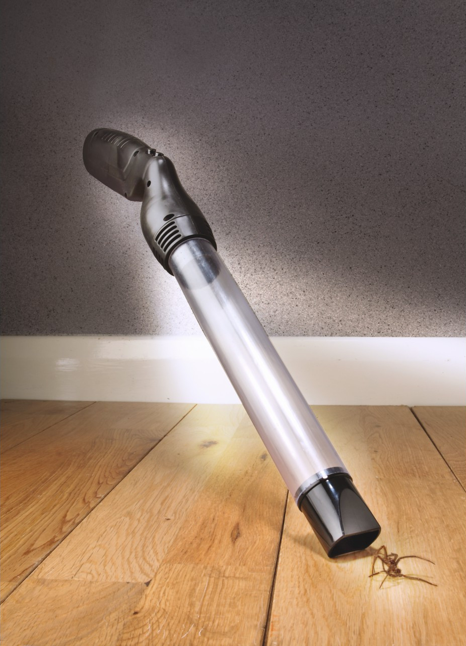 Humane Vacuum Bug Catcher