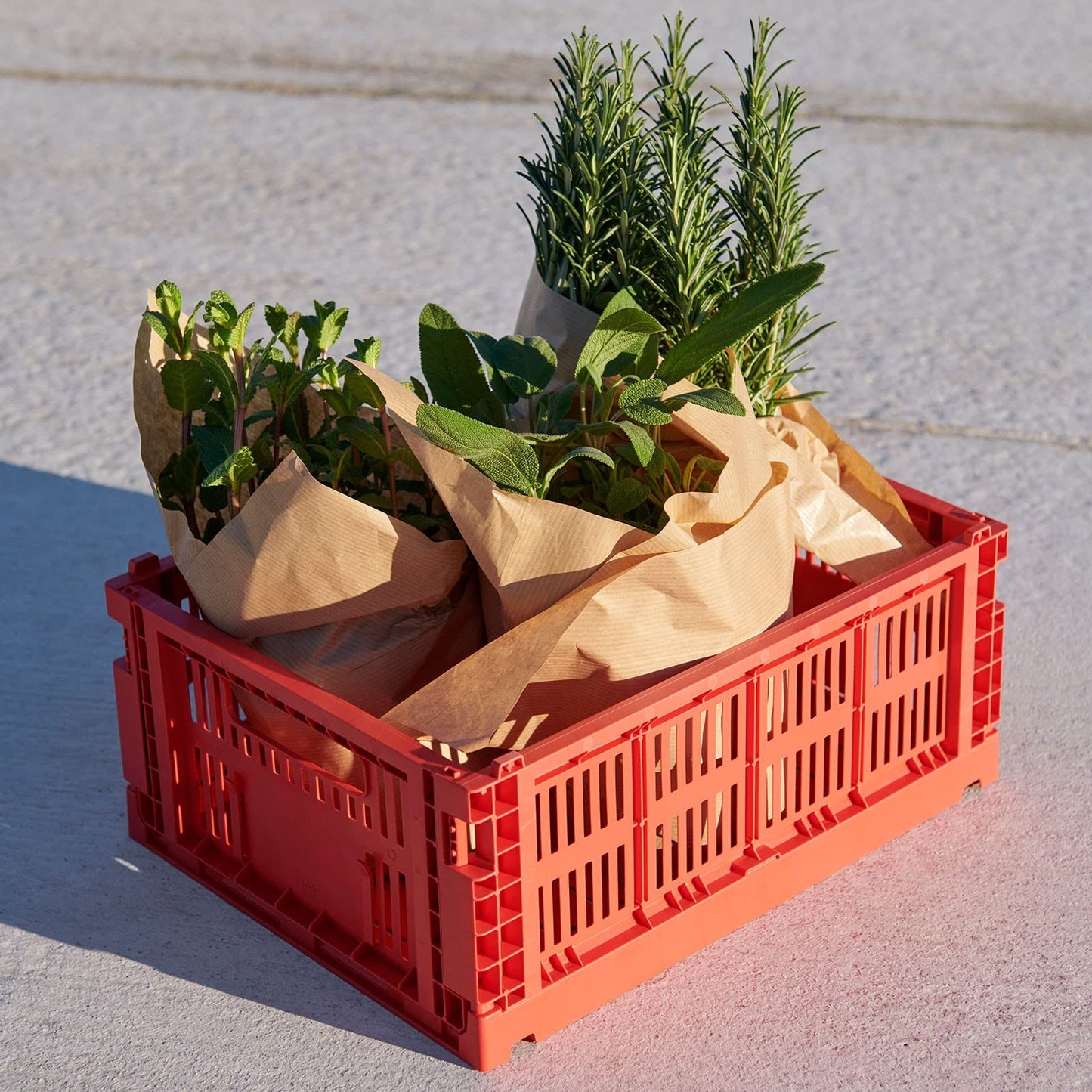 HAY Colour Crate 541460 Transport Box M Recycled Polypropylene White Dimensions: 34.5 cm x 26.5 cm x 14 cm