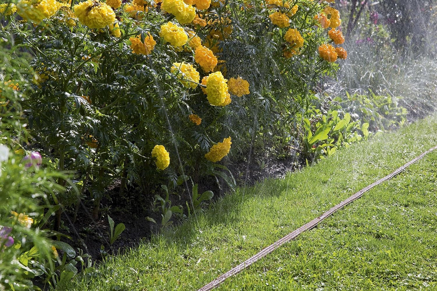 Gardena Sprinkler Hose: Fine Sprayer for beds, Borders and Narrow Areas, Length 15 m, Ready for Connection, Brown, can be Shortened or Extended
