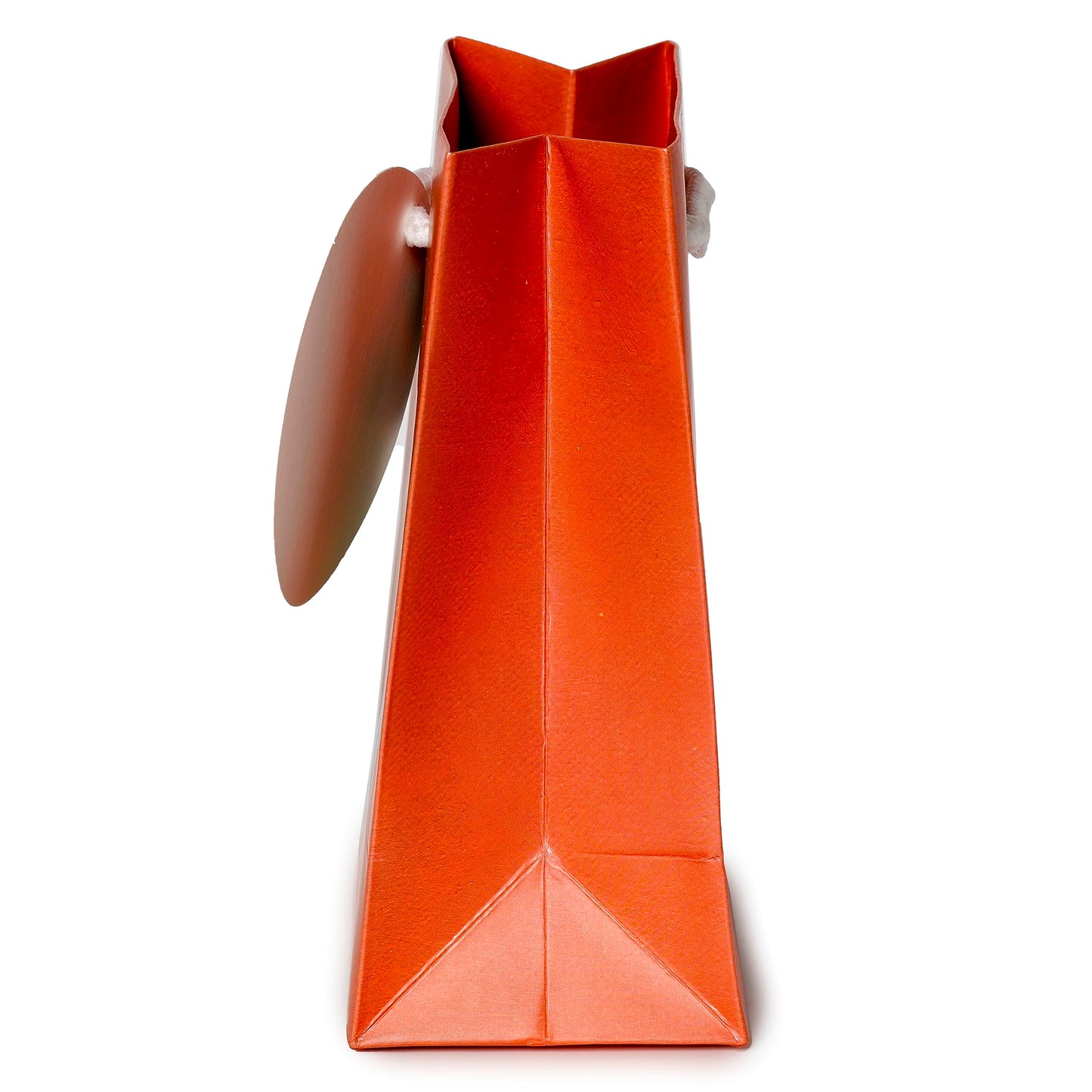 Puckator Kim Haskins Floral Cat in Fern Red Gift Bag - S - Birthday Gift Bag - Gift Bag For Presents - Present Bag For Females - Kids Birthday Presents - Present Bags For Gifts - Gift Box For Baby