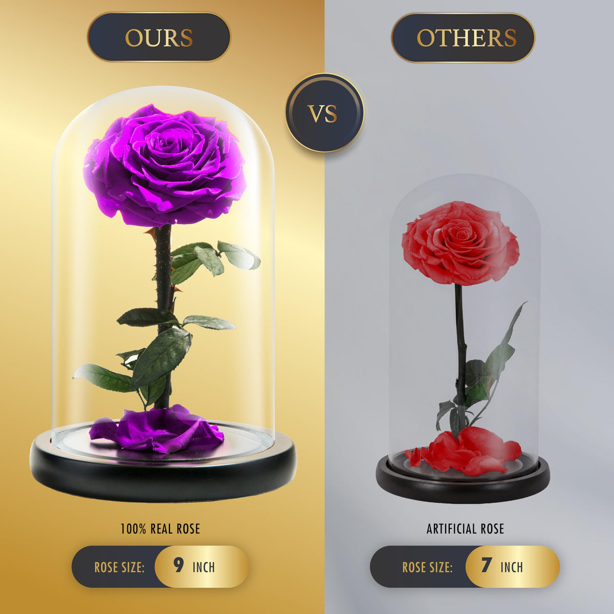 LOVAPPY Preserved Forever Rose in Glass Dome - Beauty and the Beast Romantic Gifts for Her - Eternal Rose Preserved Flowers - Preserved Rose Mother