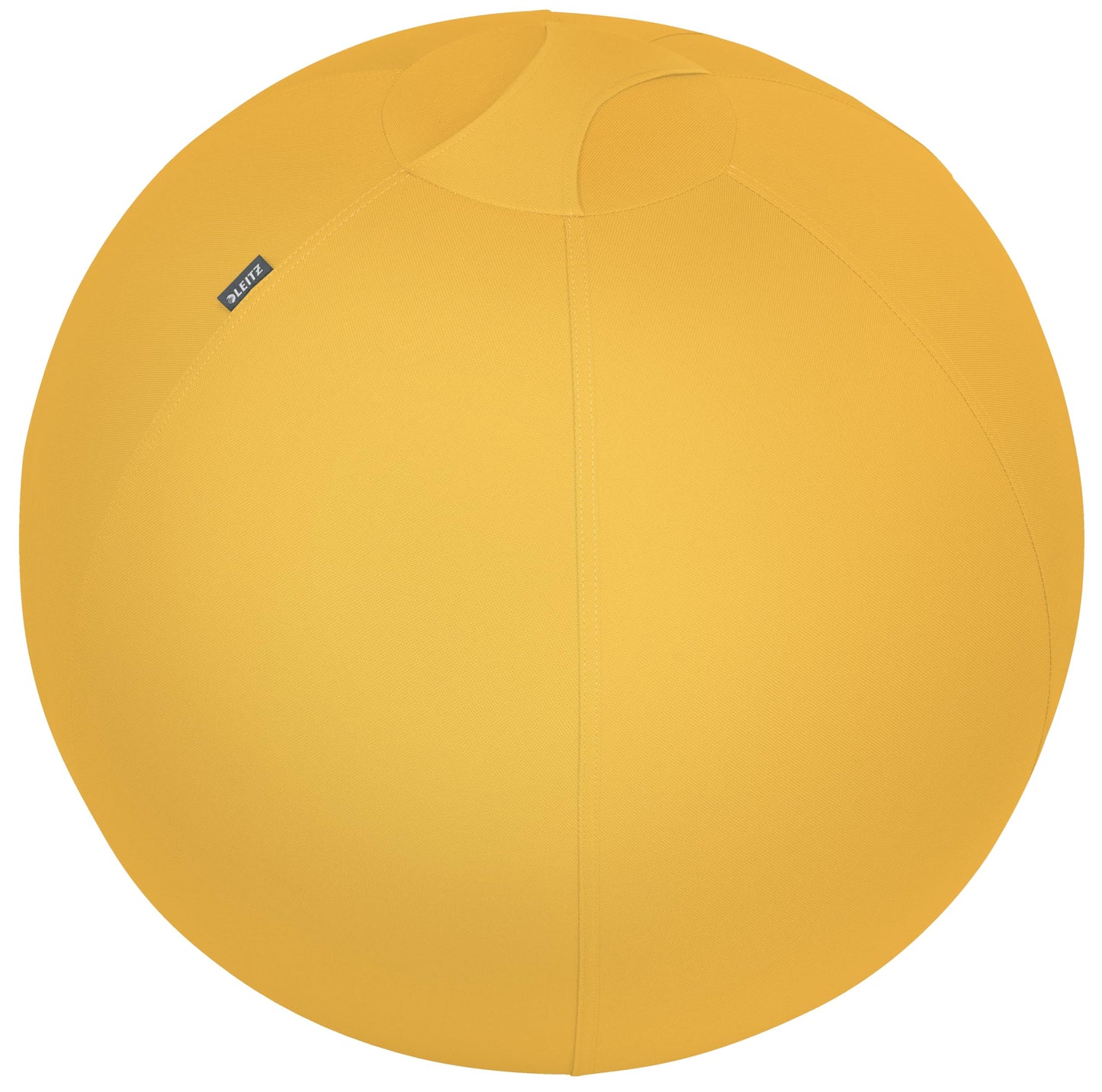 Leitz Active Sitting Ball, Ergonomically Designed Desk Chair Alternative, 65cm Diameter, Includes 100% Fabric Ball Cover, Inner Ball, Hand Air Pump &