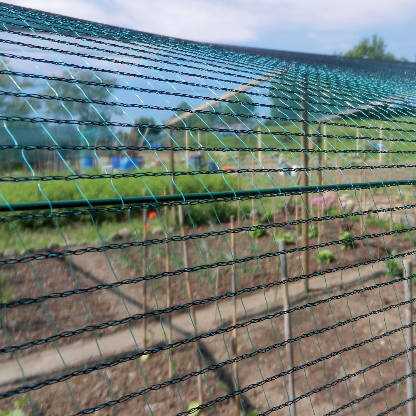 Woven Mesh 6,00 x 10 m green