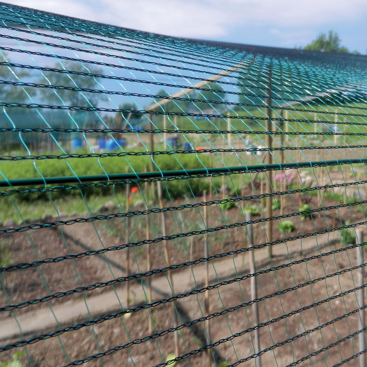 Tenax Defender Fabric Anti-Hail Net 4x10 m, Green, 4 x 10 m
