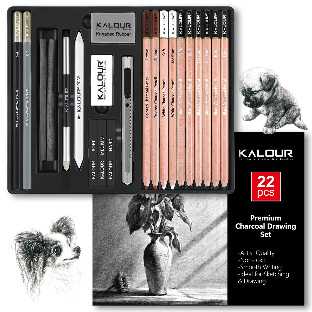 KALOUR PDAS 22pcs Charcoal Drawing Set, Professional Art Supplies, Black & White Charcoal Pencils for Drawing, Sketching, Shading, Blending, Artist
