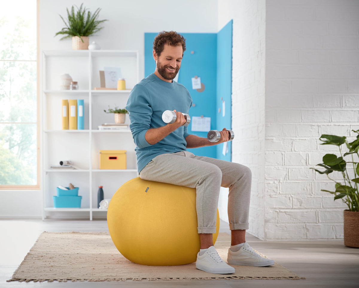 Leitz Active Sitting Ball, Ergonomically Designed Desk Chair Alternative, 65cm Diameter, Includes 100% Fabric Ball Cover, Inner Ball, Hand Air Pump &