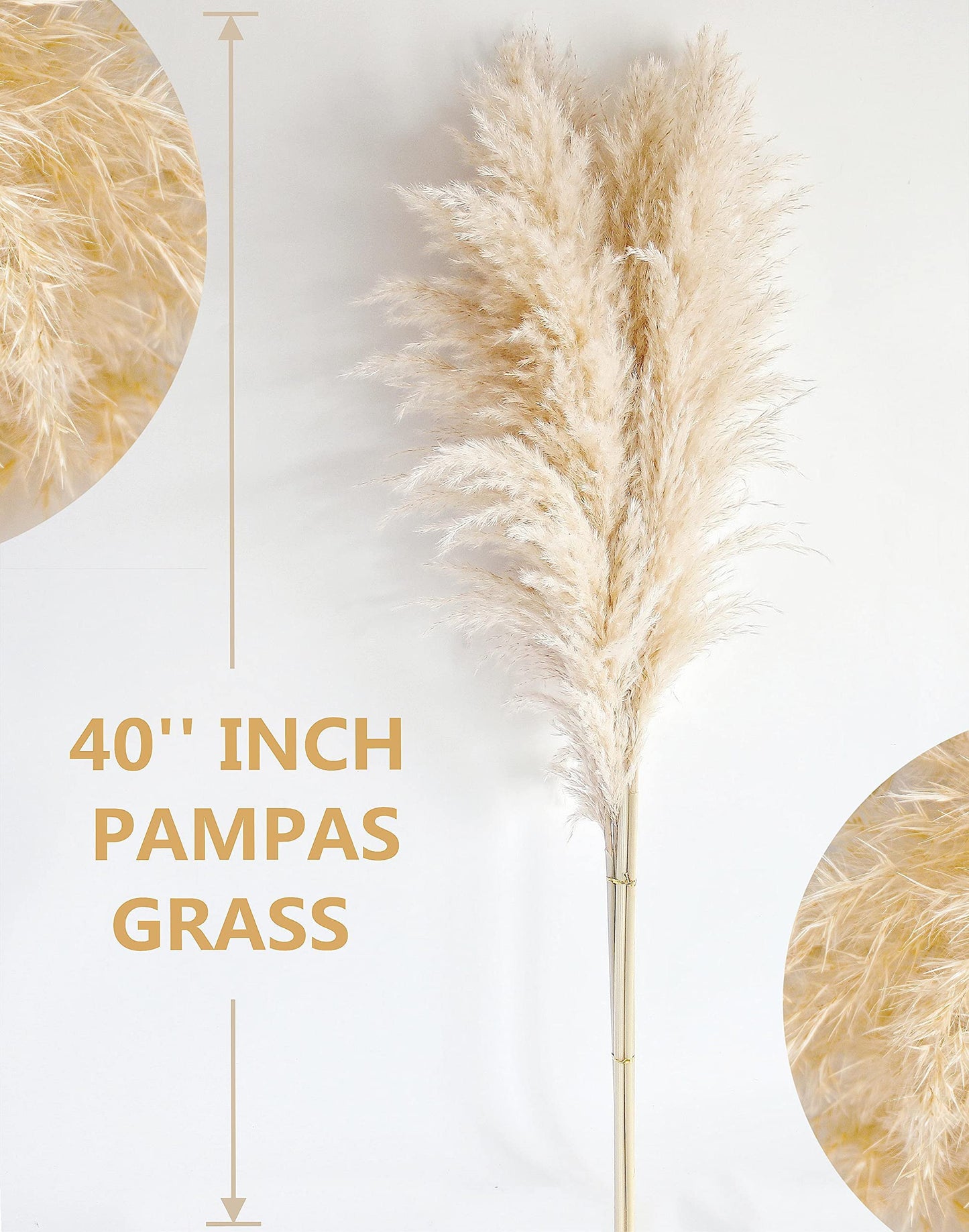 Bannifll 46-inch Natural Pampas Grass Decor Tall with 10 Stems. Perfect for Weddings, Parties, Farmhouse, and Boho Home Decor.