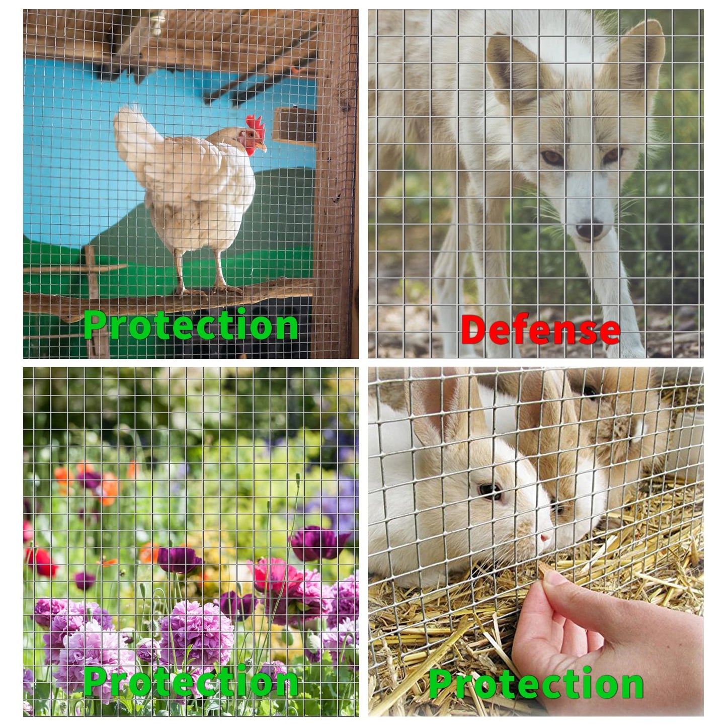 Rodent Mesh, Galvanized Wire Metal Mesh Hardware Cloth Welded Roll for Vegetables Garden, Easy to Cut and Make Straight, Never Rust (6Mx50cm)