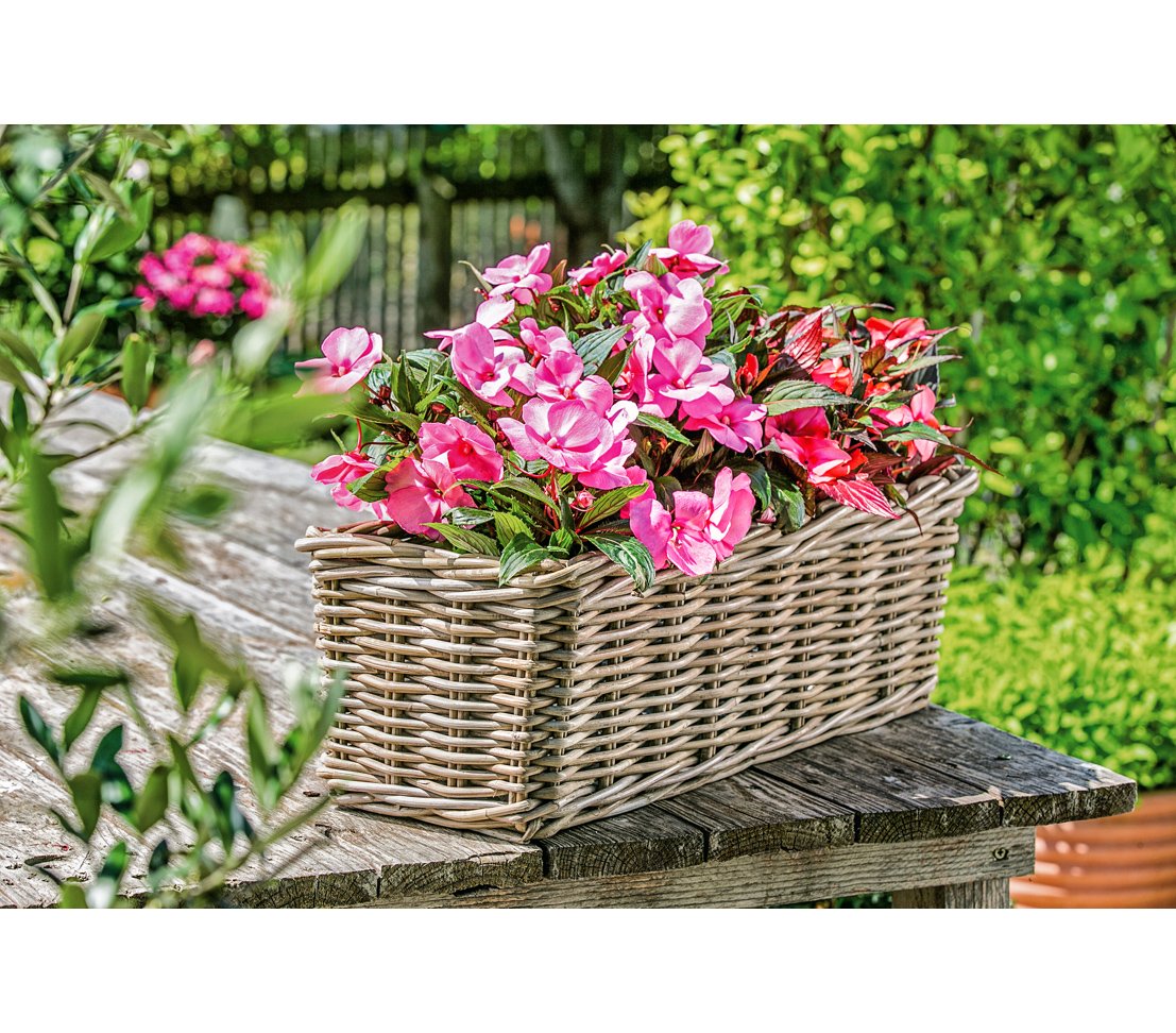 Dehner Plant Pot, Rattan, Grey/Brown, 40 x 23 x 20 cm